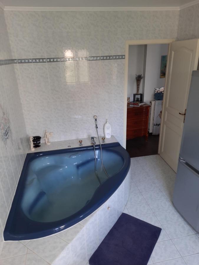 U Stagnu Locations Chambres Corse 보르고 외부 사진